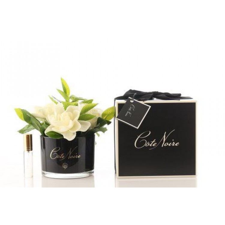 Côte Noire Perfumed Natural Touch Gardenia Bunch in Black