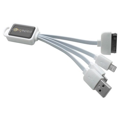 Promotional Solutions IT Epoxy 4-N-1 Charge Cable