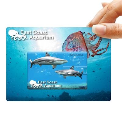 Logo Line Credit Card Flash Drive on Custom Backing Card | LL9606