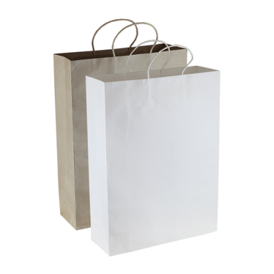 Dex Group Collection Paper Kraft Shopping Bag