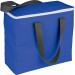 Arctic Zone 30-Can Foldable Freezer Tote