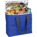 Arctic Zone 30-Can Foldable Freezer Tote