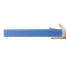 Transparent 30cm Premium Plastic Ruler