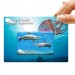 Logo Line Credit Card Flash Drive on Custom Backing Card | LL9606