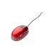 Standard Mouse