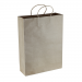 Dex Group Collection Paper Kraft Shopping Bag
