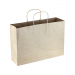 Dex Group Collection Paper Shopper