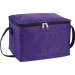 Spectrum Budget 6 Can Lunch Cooler