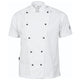 Traditional Chef Jacket - Short Sleeve