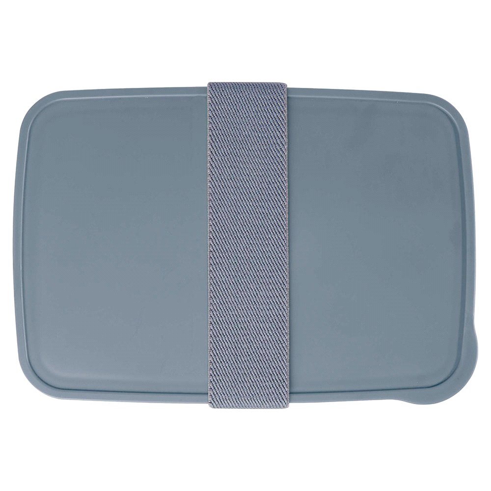 Seasons Dovi 800 ml Lunch Box