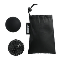 Oasis 2 Piece Massage Ball Set