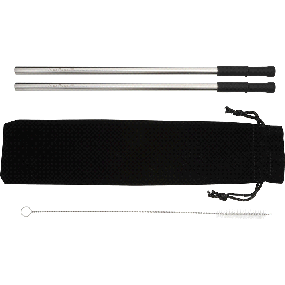 Reusable Stainless Steel Straw Set w/ Brush