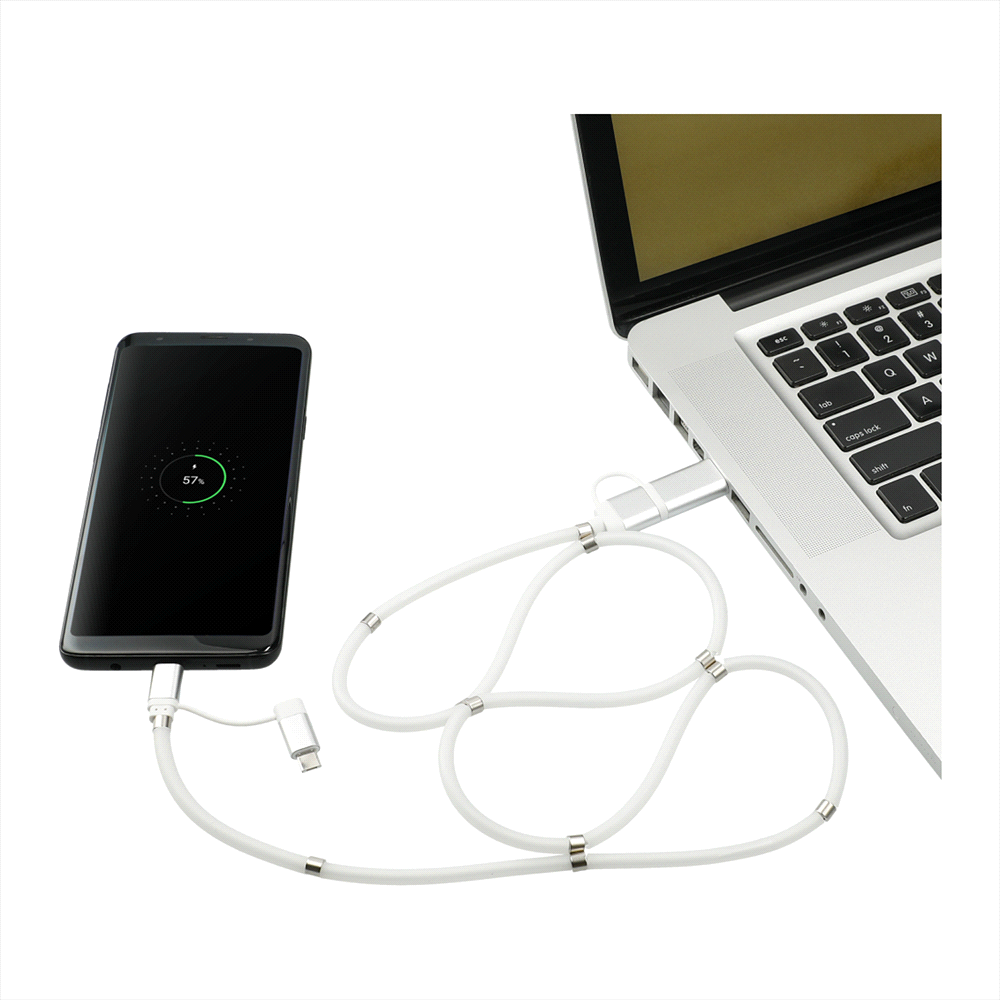 Whirl 5-In-1 Data Transfer Cable w/ Magnetic Wrap