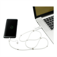Whirl 5-In-1 Data Transfer Cable w/ Magnetic Wrap