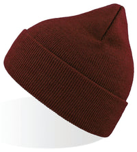 Eko Beanie