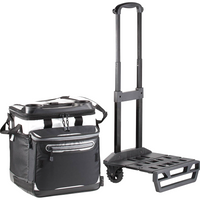 Arctic Zone Titan Deep Freeze Rolling Cooler w/ Cold Block