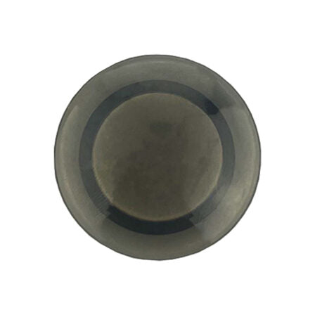 Plastic Button Magnet  - BB011