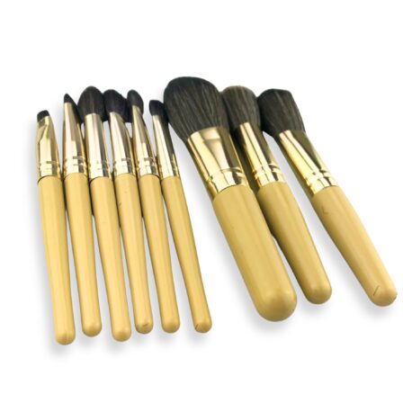 9 Brushes in a Case - CBS002