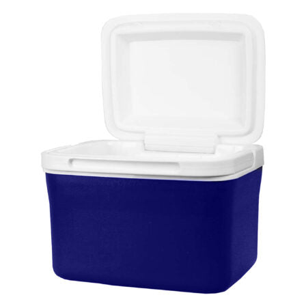 Dunkin Cooler Box 4.5L  - CL001