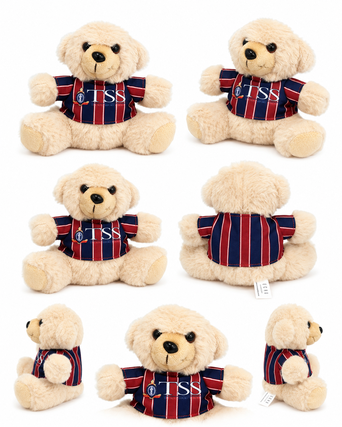 ECHO Teddy  - Custom School Teddy Bear  | Personalised Uniform Bear