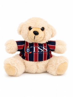 ECHO Teddy  - Custom School Teddy Bear  | Personalised Uniform Bear