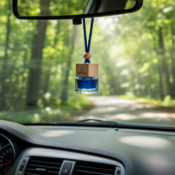 Car Reed Diffuser €“ 8ml - DF003