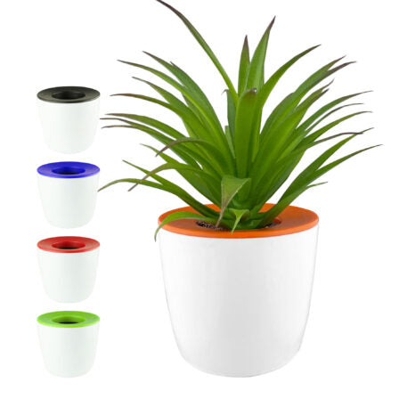 Mini Desk Plant Pot  - DPP001