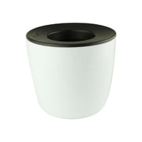 Mini Desk Plant Pot  - DPP001