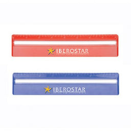 20cm Ruler with Colour and Magnifying - DS059TL