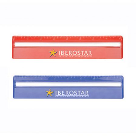 20cm Ruler with Colour and Magnifying - DS059TL
