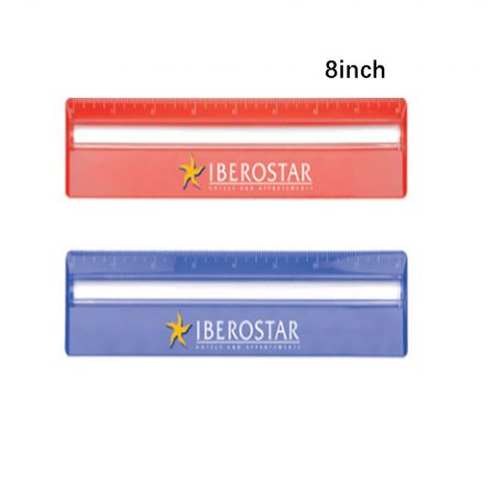 20cm Ruler with Magnifying - DS059