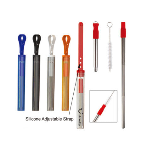Straw Set - DS1253