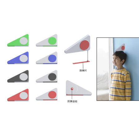 Growth Ruler - DS1337