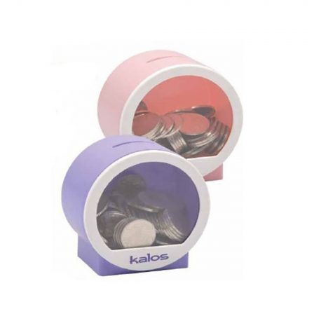 Coin Bank - DS307