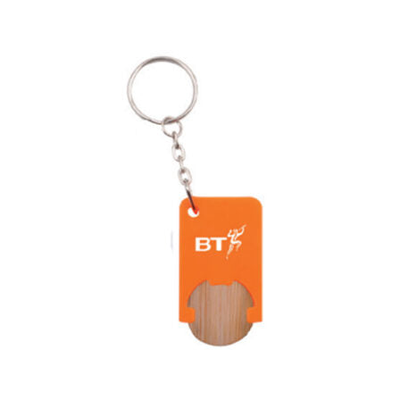 Key Tag - DS670b