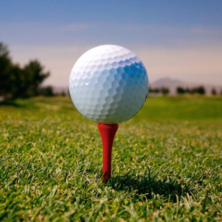 Golf Tee  - GF002