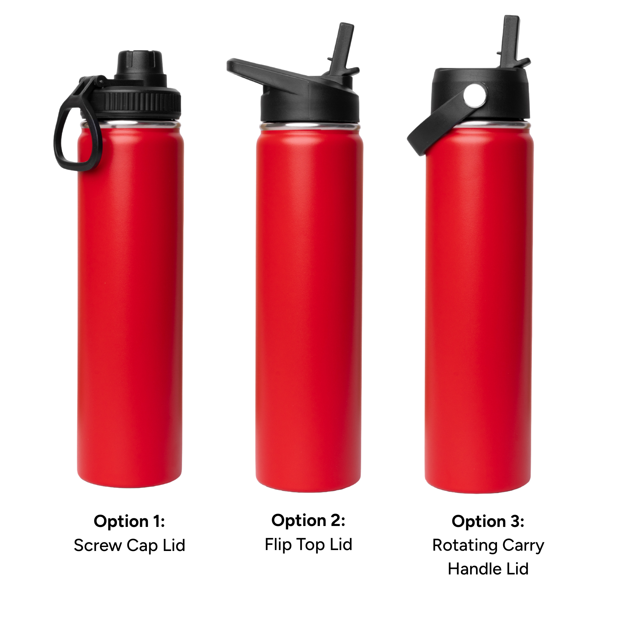 LAPEN 750ml Vacuum Bottle - 3 Different Lid Options -