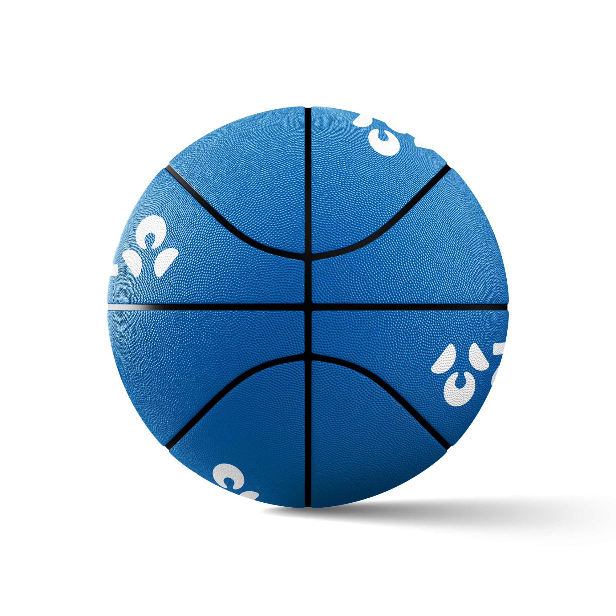 Promotional Basketball