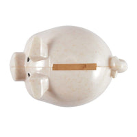 World's Smallest Pig Eco Coin BankLL3600