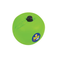 Apple Stress Reliever - LL499