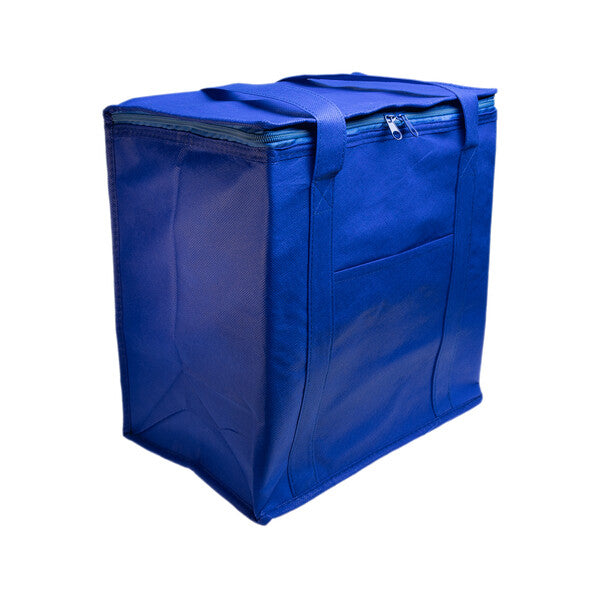 Tundra Cooler / Shopping BagLL521