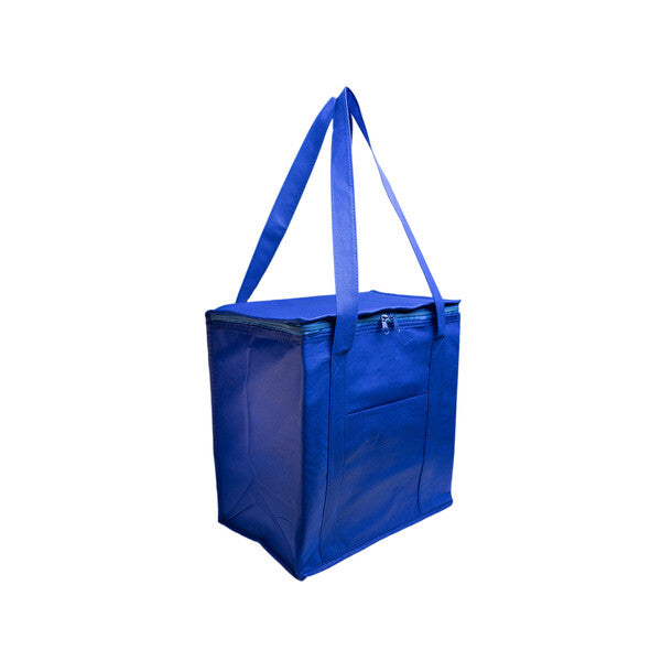 Tundra Cooler / Shopping BagLL521
