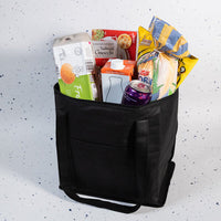 Tundra Cooler / Shopping BagLL521