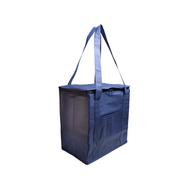 Tundra Cooler / Shopping BagLL521