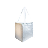Tundra Cooler / Shopping BagLL521