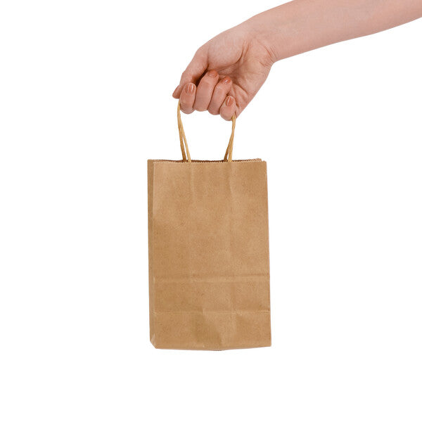 Express Paper Bag SmallLL547