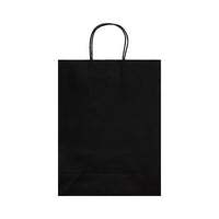 Express Paper Bag Large - LL549
