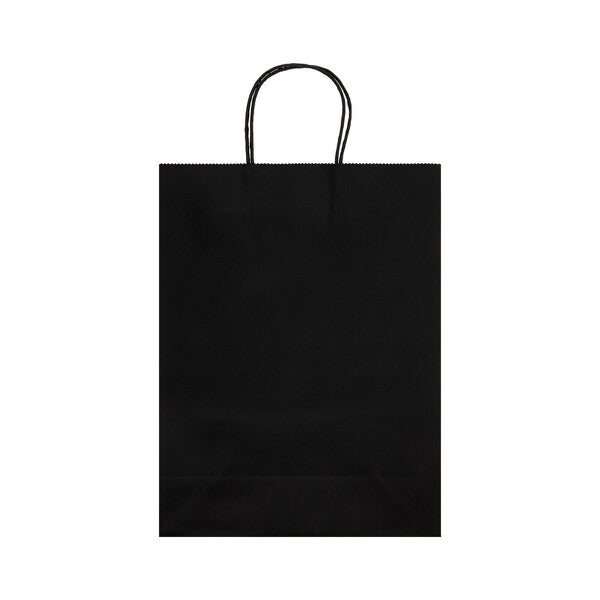 Express Paper Bag Large - LL549