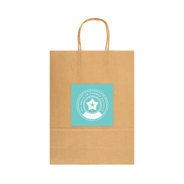 Express Paper Bag Large - LL549