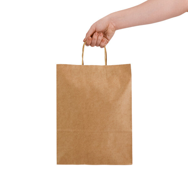 Express Paper Bag Large - LL549